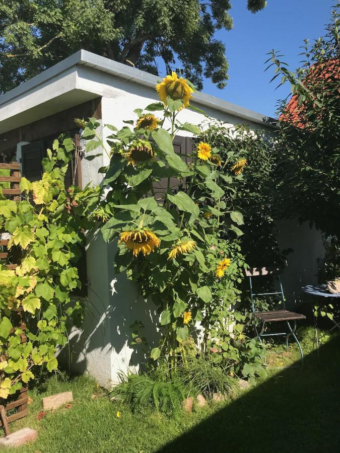 그라이프스발트 Haus Vicus 아파트 외부 사진